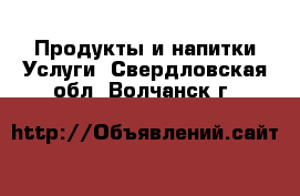 Продукты и напитки Услуги. Свердловская обл.,Волчанск г.